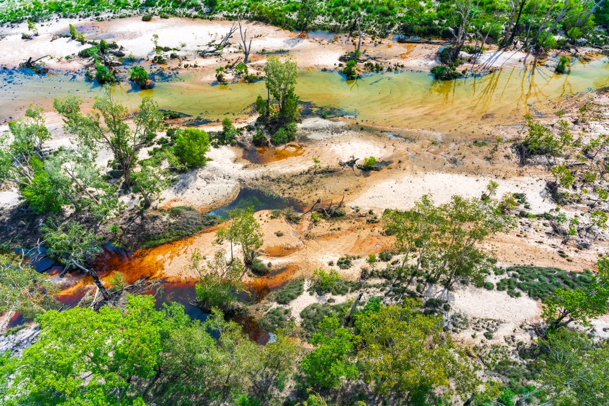 Kakadu 2 fine art photography prints