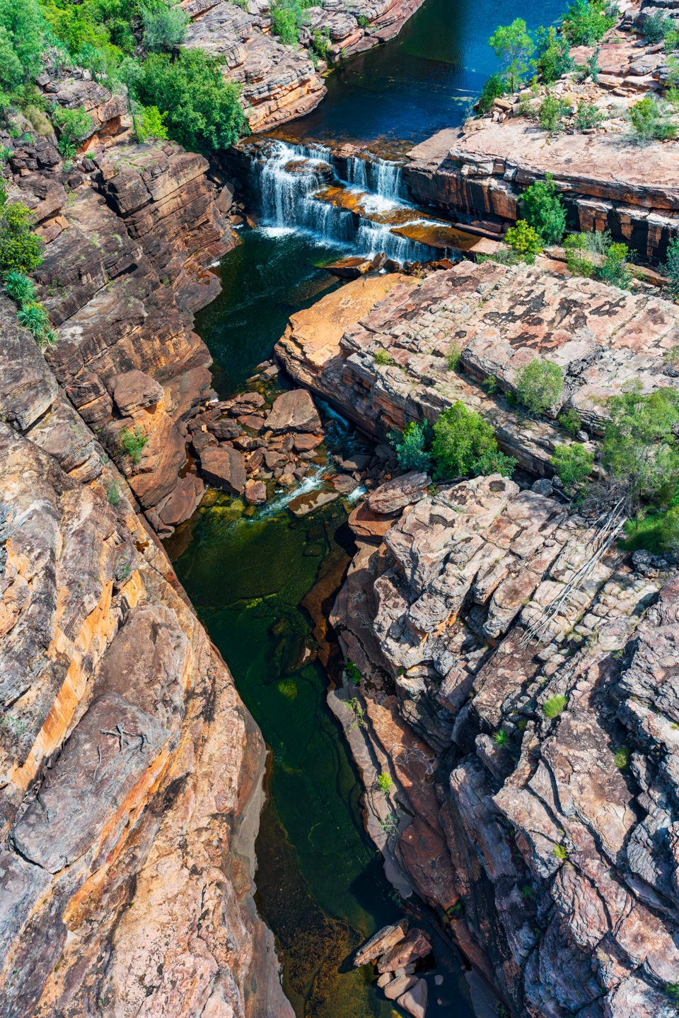 Natures Steps