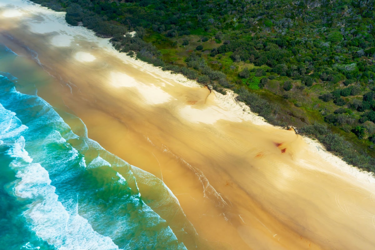 SEA, SAND, BUSH