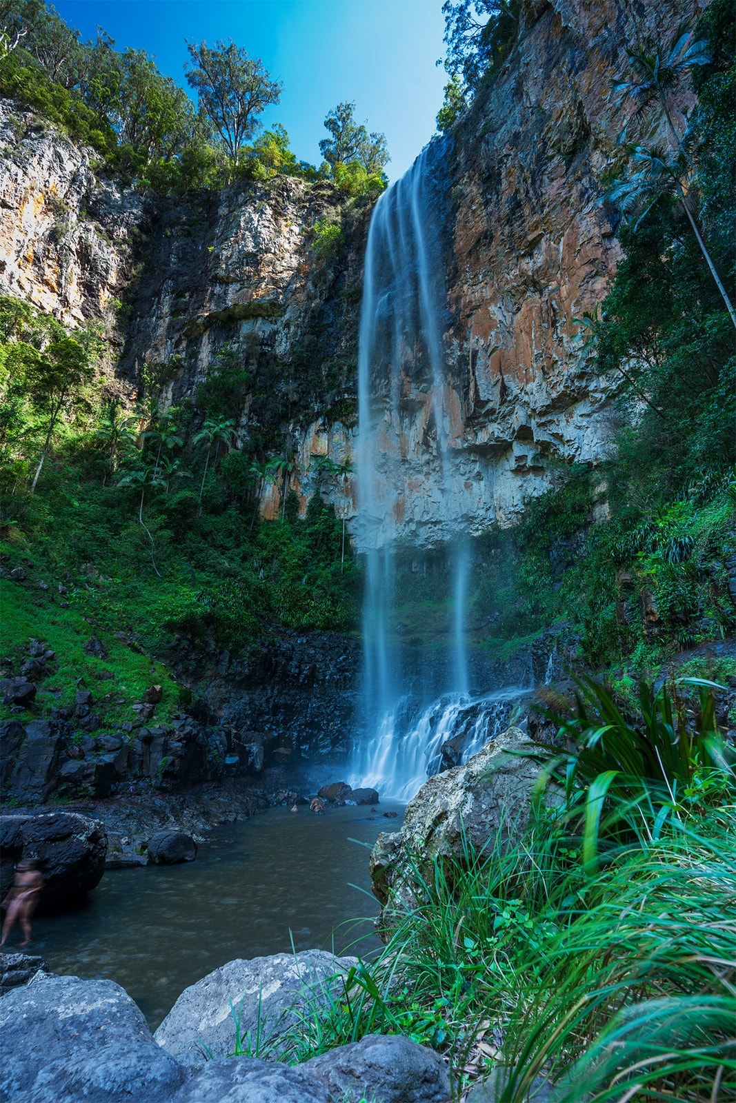 Lush Cascades