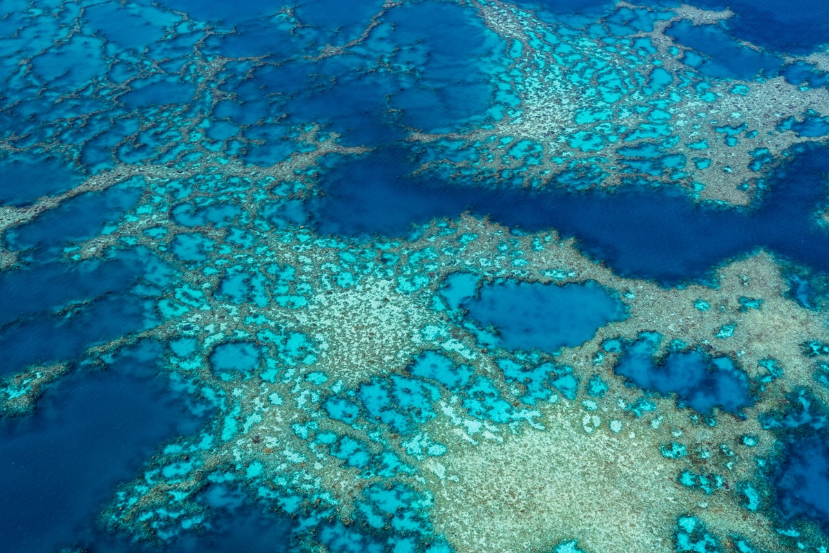 RINGS OF LIFE