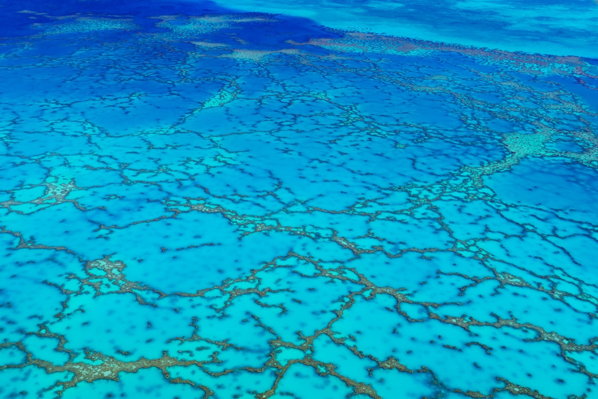 WEB OF PONDS