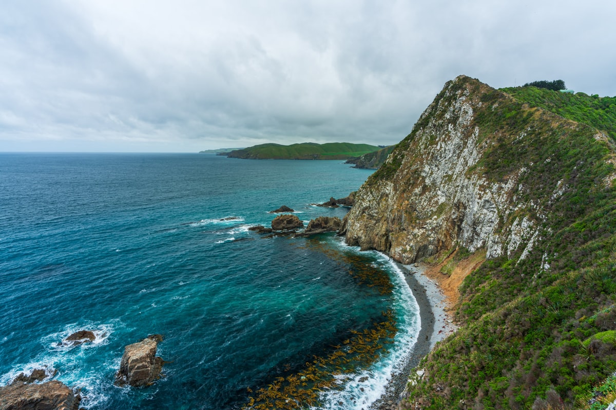THE CATLINS