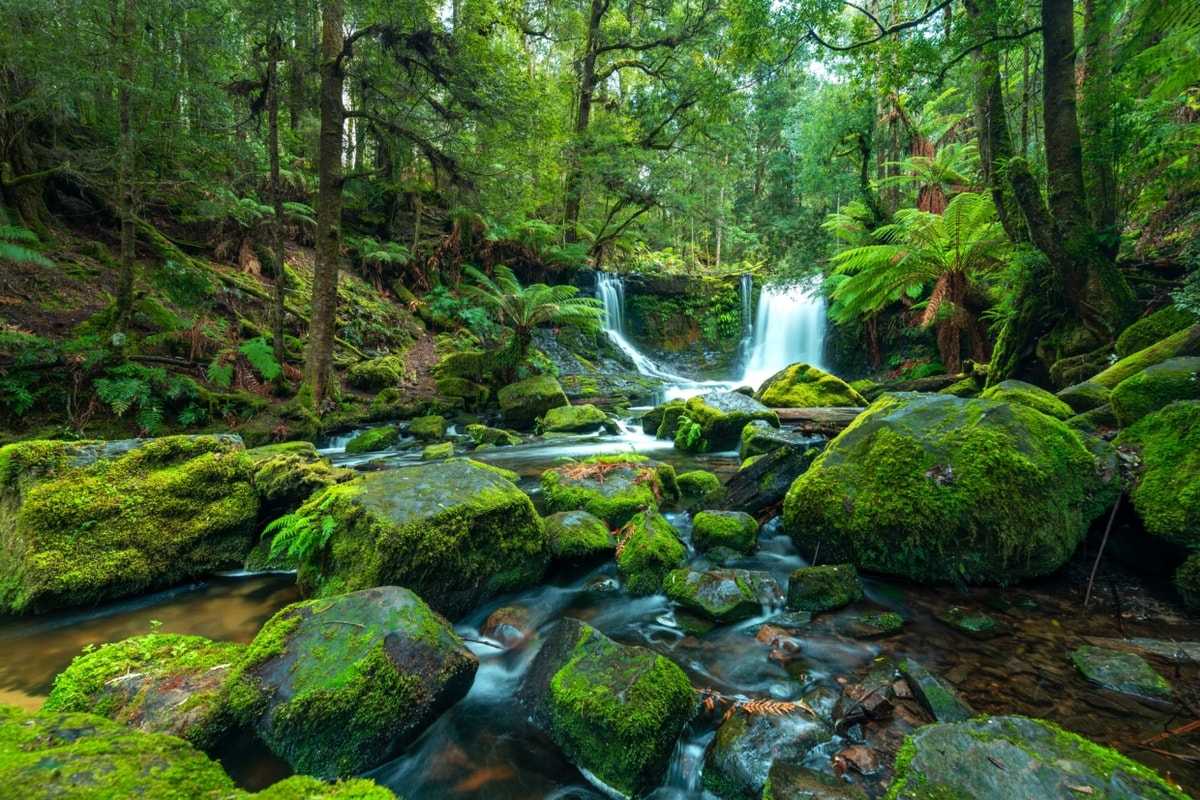 50 Shades of Green